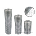 PVC gecoate Anting Hot Sale LaDed Wire Mesh